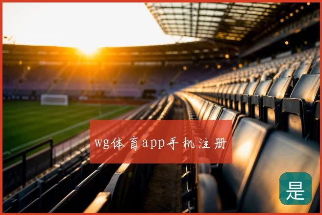 wg体育app手机注册