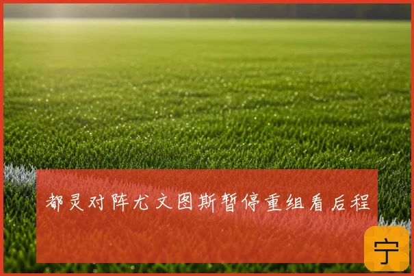 都灵对阵尤文图斯暂停重组看后程