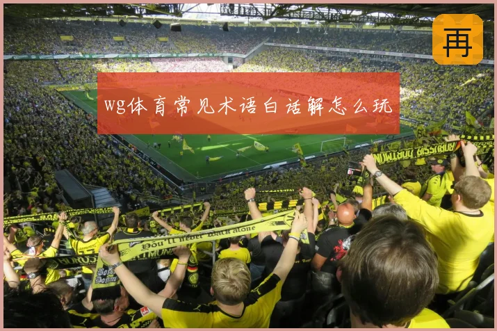 wg体育常见术语白话解怎么玩