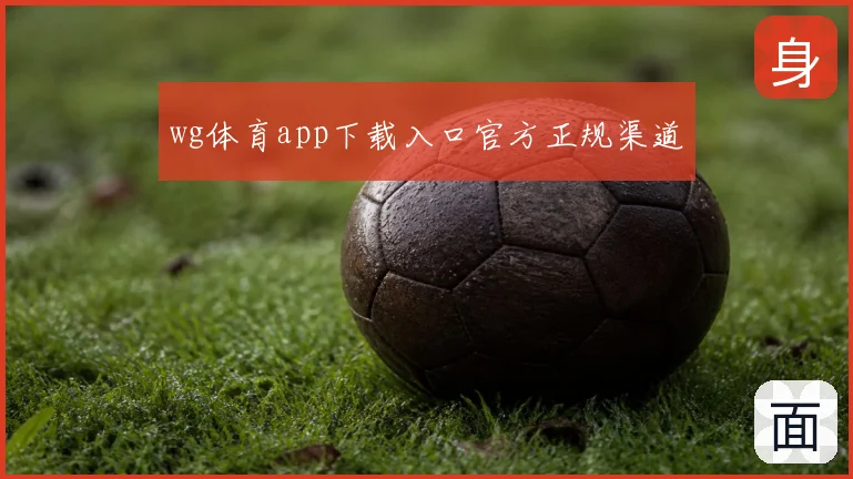 wg体育app下载入口官方正规渠道